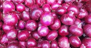 Onion