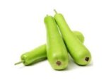 Bottle gourd/lauki 500GM
