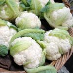 Cauliflower(Small size)