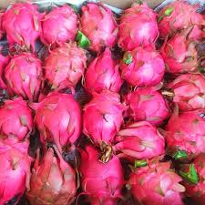 Dragon Fruit(450g-550g)