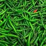 Green Chili 100GM