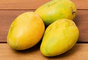 mango bengapalli 450GM-550GM