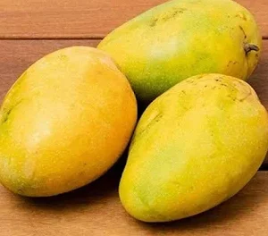 Mango Banganapalli