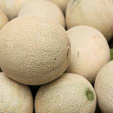 Musk Melon nutty(600g-800g)(per piece)