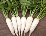 Radish 500GM
