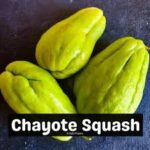 chow Chow 500GM
