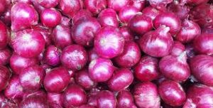 Onion 500GM
