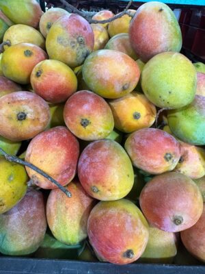 Mango Sindura 450GM-550GM