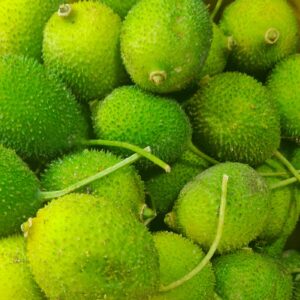Spiny gourd 250GM